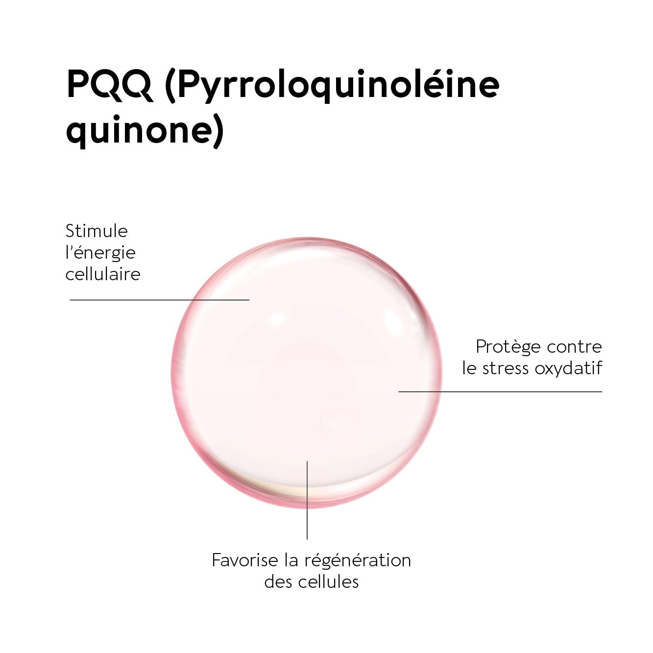 PQQ FORTE 20 MG