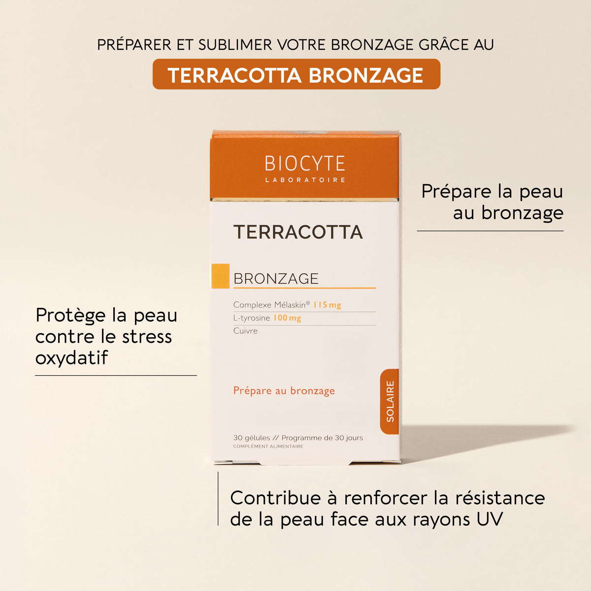 TERRACOTTA BRONZAGE