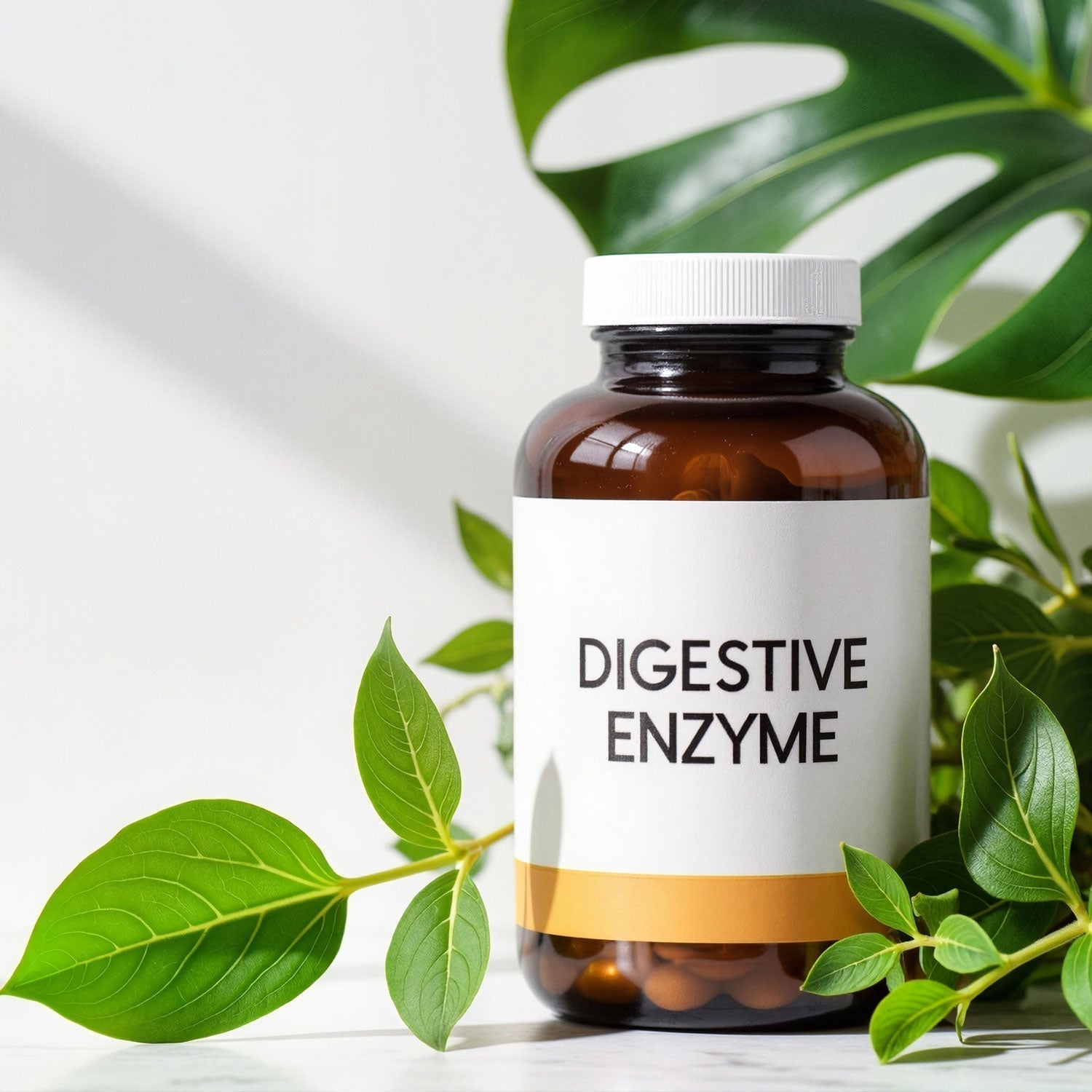 Boîte d'enzymes digestives prêt à l'emploi
