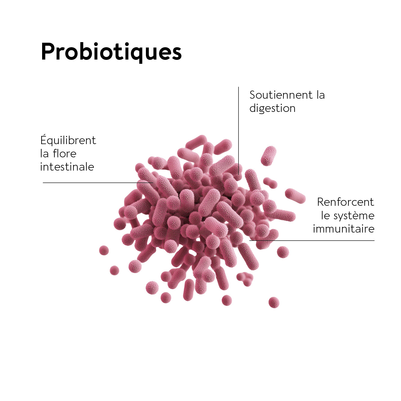 MICROBIOTE ATB