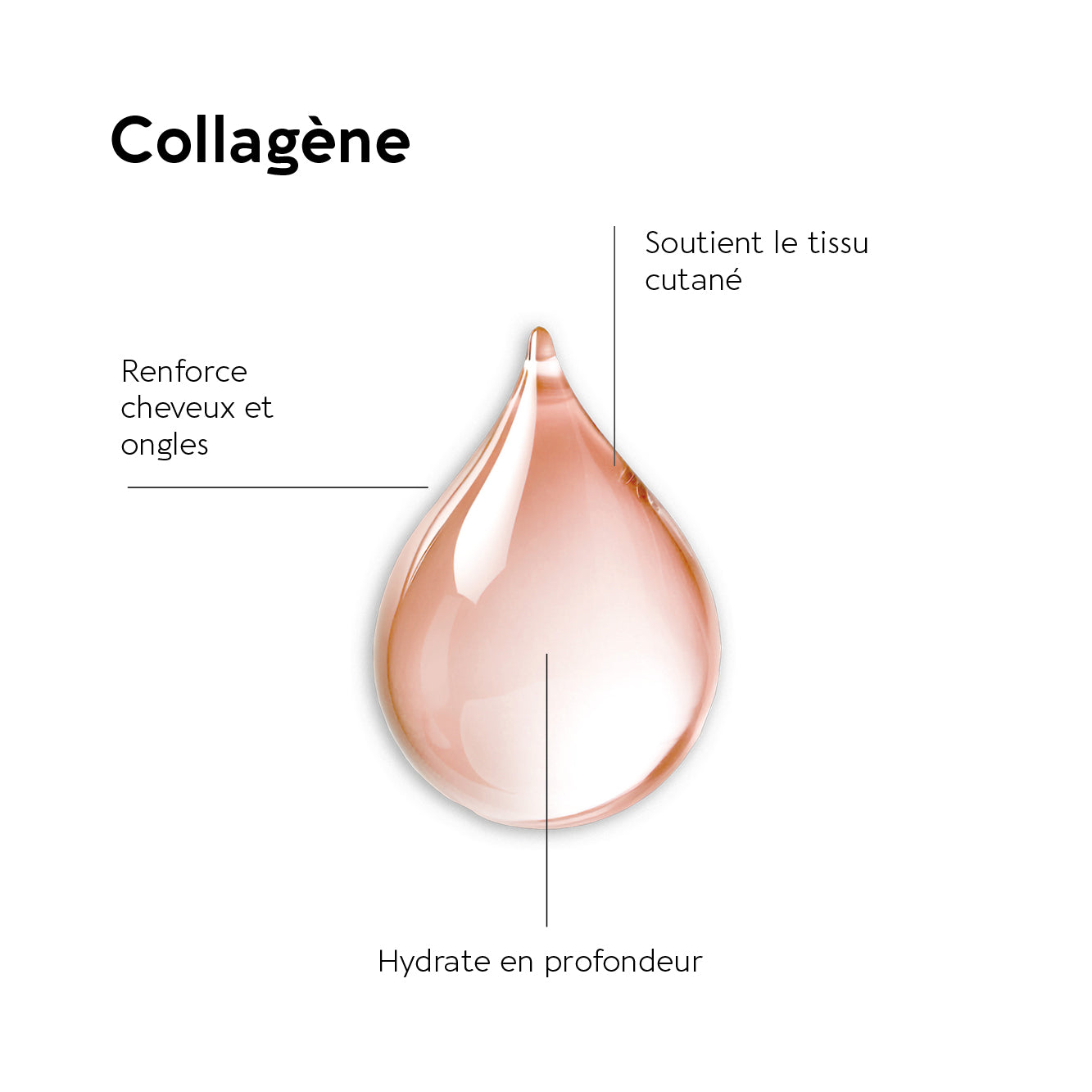 COLLAGEN FLEX
