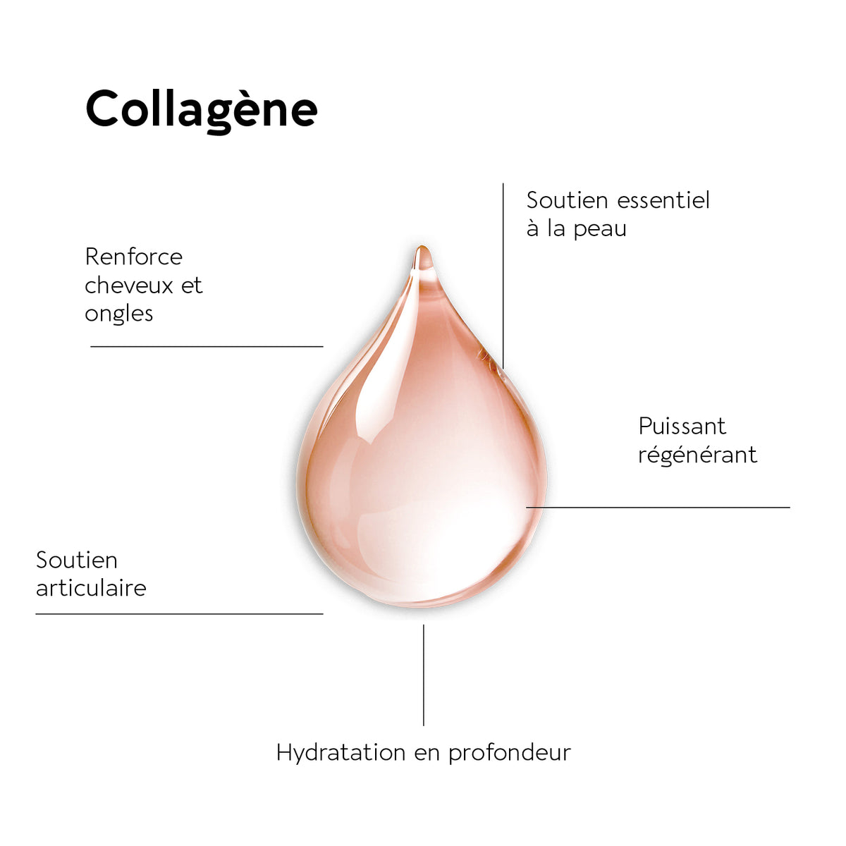 Truffle Collagen Shots | Anti-âge et anti-rides
