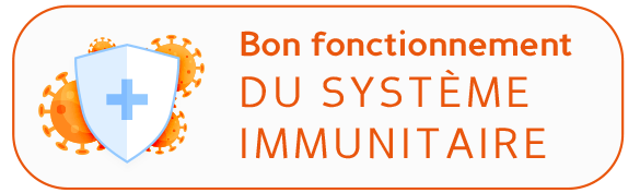 Système immunitaire renforcé